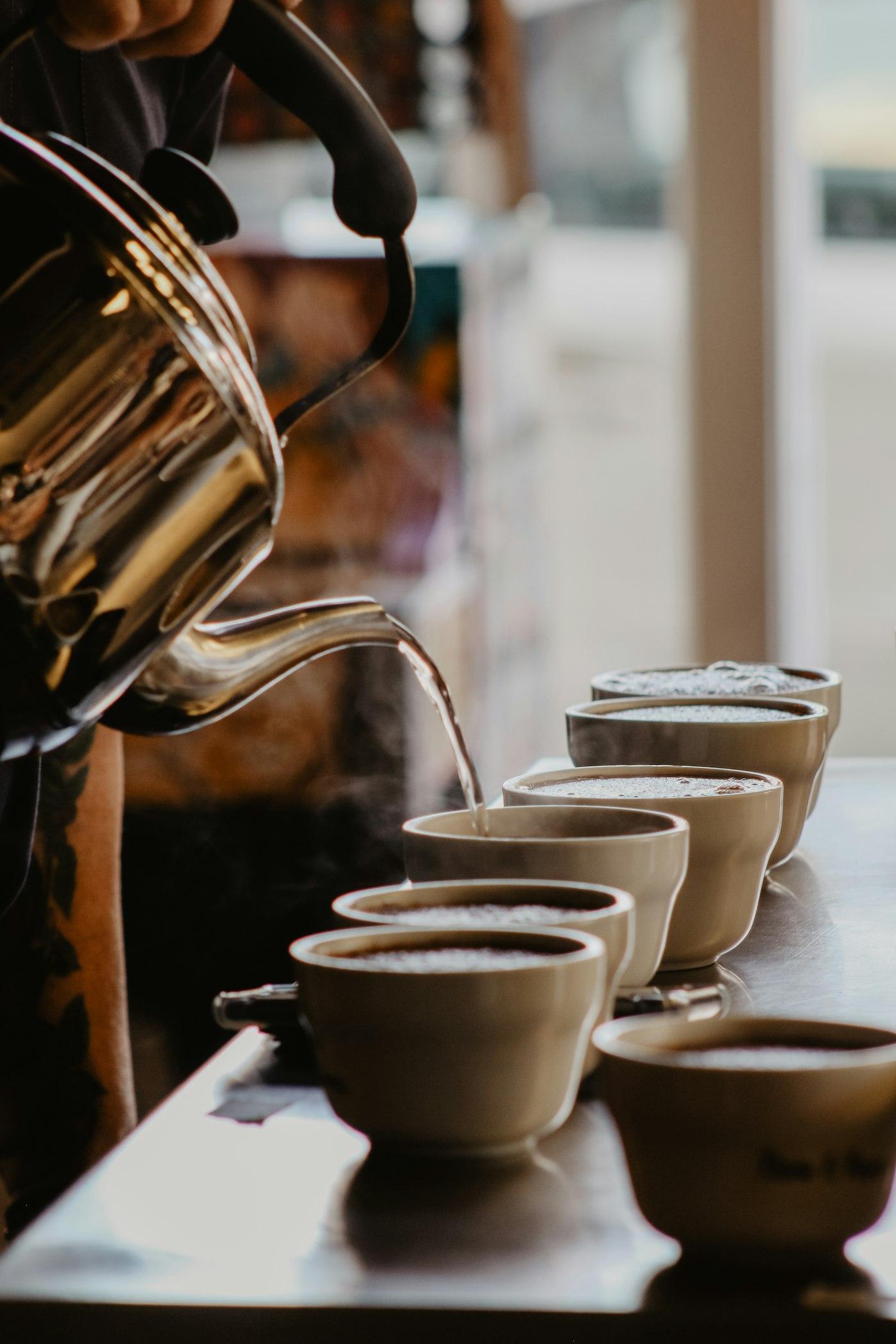 A kettle pouring hot water across a line of cupping bowls