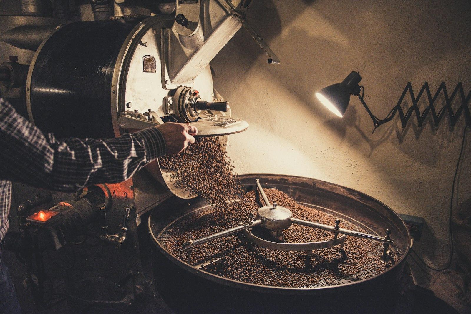 A drum roaster discharging freshly roasted coffee into the cooling tray