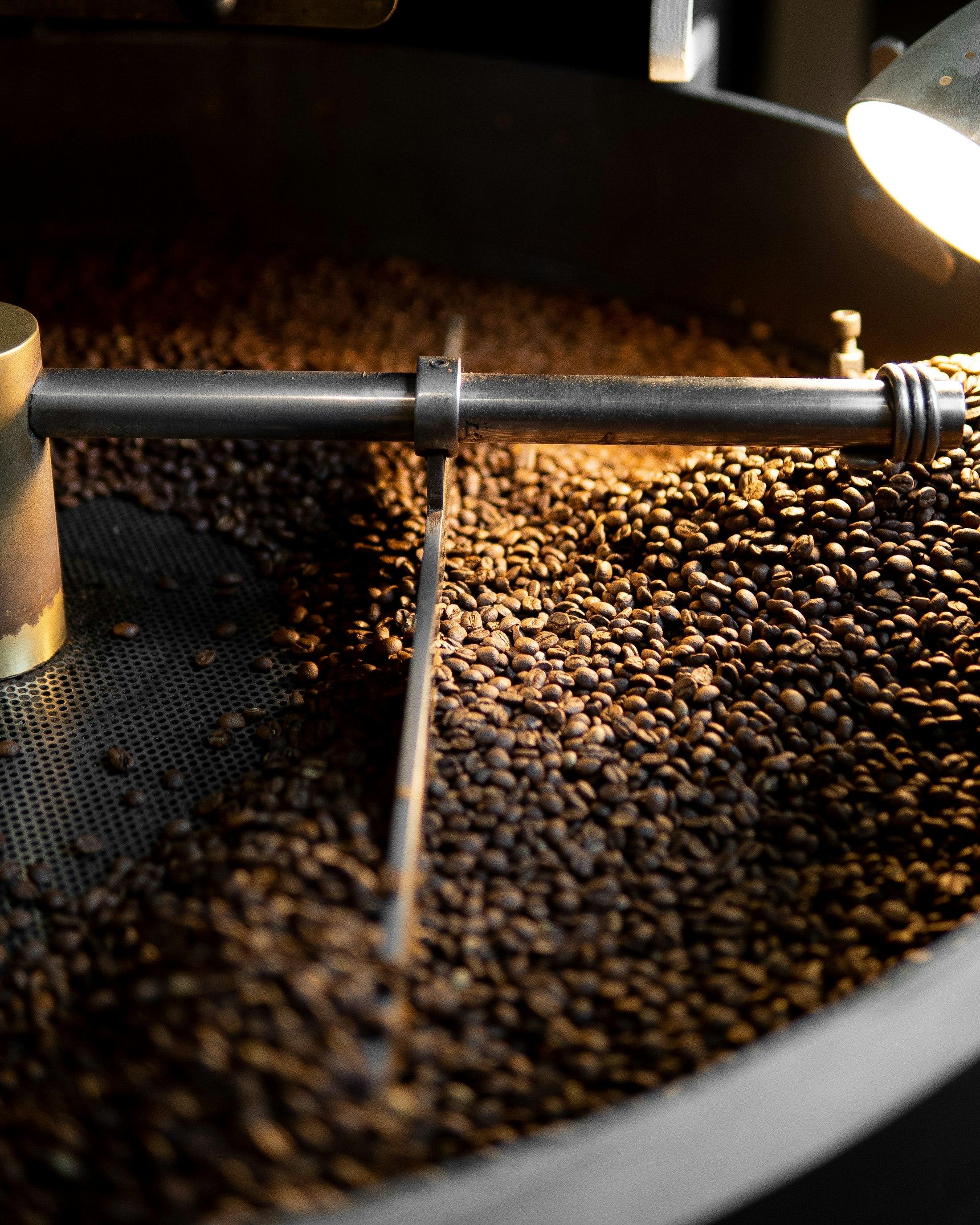 Freshly roasted coffee beans turning in a roaster's cooling tray under warm light
